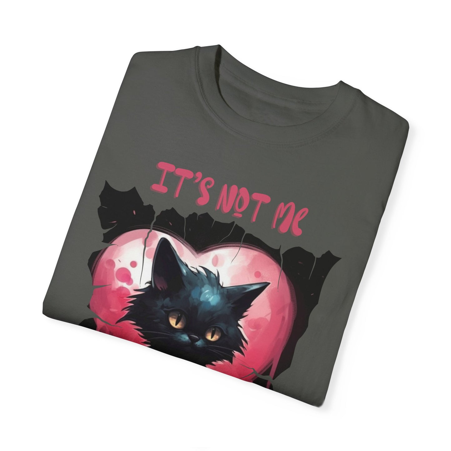 It's not me, It's you. Anti-Valentine's Day Cat Shirt